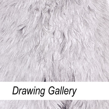 Drawing Gallery