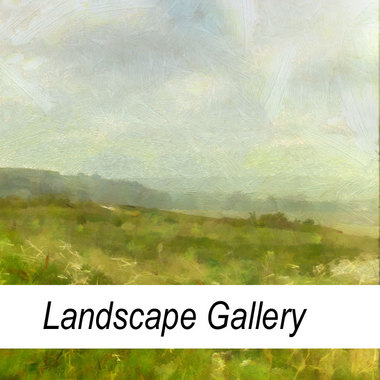 Landscape Gallery