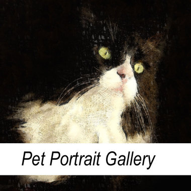 Pet Portrait Gallery